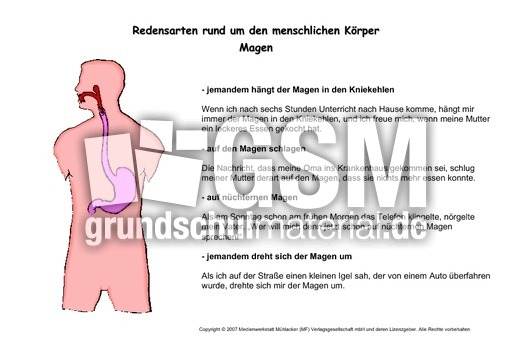 Kartei-Redenskarten-Magen.pdf